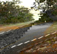 Warrah Trig cycling loop - Palm Beach Accommodation