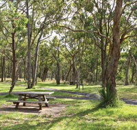Wollomombi Gorge and Falls Picnic Area - Palm Beach Accommodation