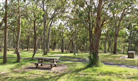 Wollomombi Gorge And Falls Picnic Area - Palm Beach Accommodation 0