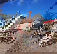 Wowan - Palm Beach Accommodation