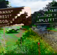 Yarraman - Palm Beach Accommodation