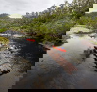 Boyd River - Palm Beach Accommodation