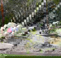 Maroochy Regional Bushland Botanic Garden - Palm Beach Accommodation