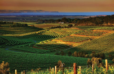 Mclaren Vale - Palm Beach Accommodation 1