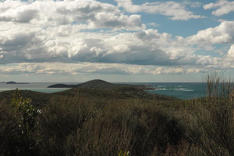Big Rocky! Full Day Guided Walk - Palm Beach Accommodation 3