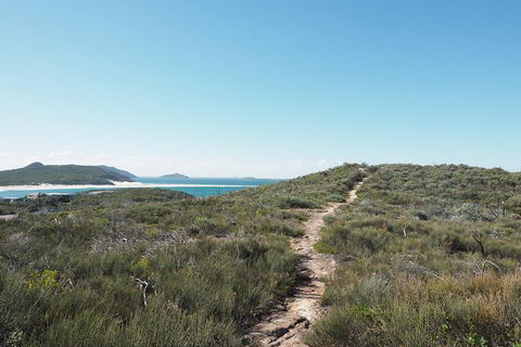 Big Rocky! Full Day Guided Walk - Palm Beach Accommodation 5