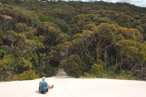 Big Rocky! Full Day Guided Walk - Palm Beach Accommodation 7