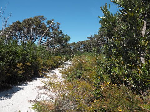 Big Rocky! Full Day Guided Walk - Palm Beach Accommodation 8