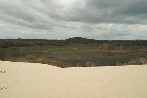 Big Rocky! Full Day Guided Walk - Palm Beach Accommodation 6