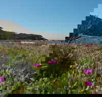 Big Rocky Full Day Guided Walk - Palm Beach Accommodation