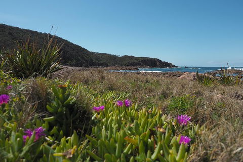 Big Rocky! Full Day Guided Walk - Palm Beach Accommodation 0