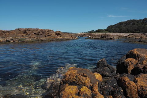 Big Rocky! Full Day Guided Walk - Palm Beach Accommodation 2