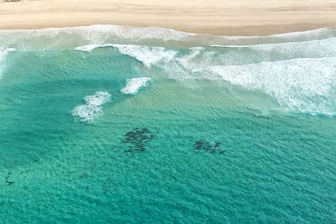 Coastal Helicopter Shared Flight - 20 Minutes - Palm Beach Accommodation 5