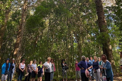 Breakfast Bushwalk Tour In Captain Cook\'s Monument - Palm Beach Accommodation 0