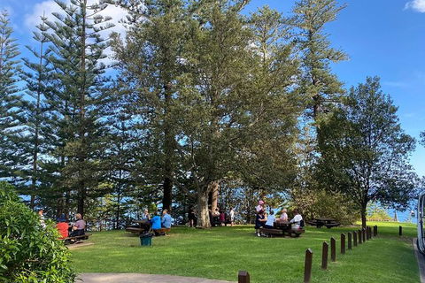 Breakfast Bushwalk Tour In Captain Cook\'s Monument - Palm Beach Accommodation 1