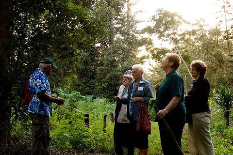 Breakfast Bushwalk Tour In Captain Cook\'s Monument - Palm Beach Accommodation 3