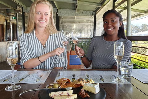 Hunter Valley Exclusive Kangaroo And Wine Tasting Experience - Palm Beach Accommodation 7