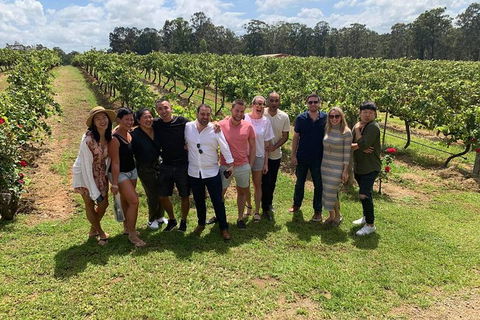 Hunter Valley Exclusive Kangaroo And Wine Tasting Experience - Palm Beach Accommodation 6
