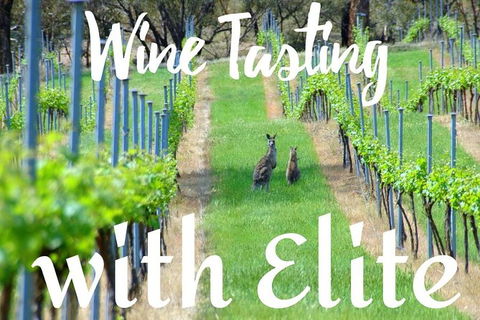 Six Hour - Plan Your Own Wine And Cheese Tour Hunter Valley - Palm Beach Accommodation 7