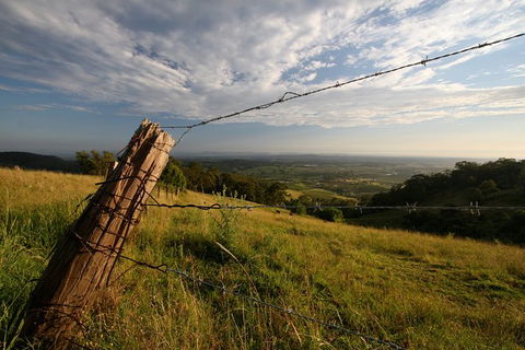 Private Full-Day Wine Tour In Hunter Valley - Palm Beach Accommodation 3