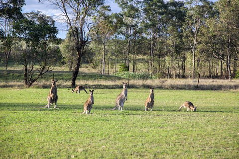 Private Full-Day Wine Tour In Hunter Valley - Palm Beach Accommodation 2