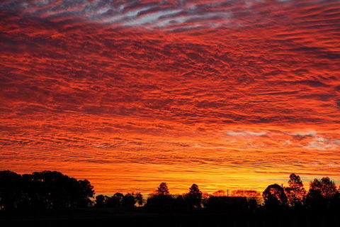 Private Full-Day Wine Tour In Hunter Valley - Palm Beach Accommodation 0