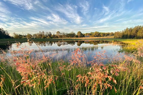 Private Full-Day Wine Tour In Hunter Valley - Palm Beach Accommodation 5