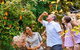 Full-Day Guided Tour Byron Bay With Pickup - thumb 1