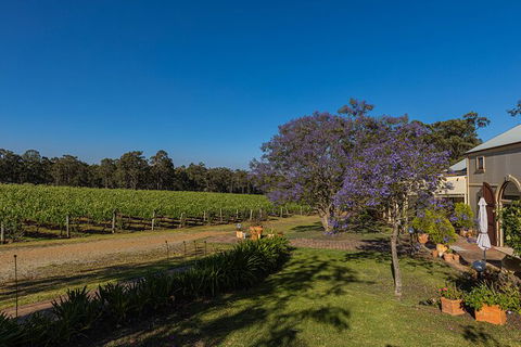 Hideaway Private Tours Hunter Valley - Palm Beach Accommodation 3
