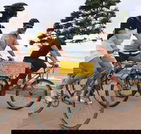 Newcastle Half-Day Bike Tour with Lunch - Palm Beach Accommodation