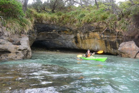 Half-Day Jervis Bay Sea Kayak Tour - Palm Beach Accommodation 8
