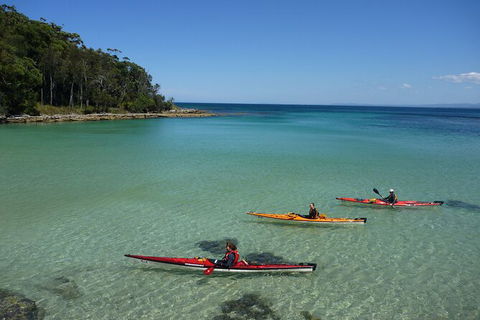 Half-Day Jervis Bay Sea Kayak Tour - Palm Beach Accommodation 3