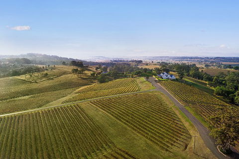 Audrey Wilkinson Vineyard: Fromage And Fortified Wine Experience - Palm Beach Accommodation 1
