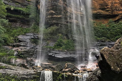 Private 10-hour Tour To Blue Mountains From Sydney - Hotel Pick Up & Drop Off - Palm Beach Accommodation 3