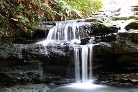 Private 10-hour Tour To Blue Mountains From Sydney - Hotel Pick Up & Drop Off - Palm Beach Accommodation 6