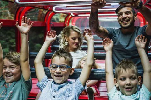 Blue Mountains Highlights, Wildlife Park And Scenic World Full Day Private Tour - Palm Beach Accommodation 5