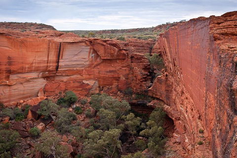 Uluru, Kata Tjuta And Kings Canyon Camping Safari From Alice Springs - Palm Beach Accommodation 4