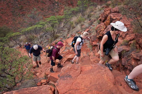 Uluru, Kata Tjuta And Kings Canyon Camping Safari From Alice Springs - Palm Beach Accommodation 3
