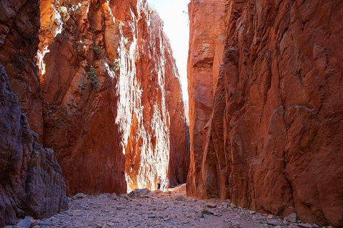 Best Of Alice Springs Full Day Tour - Palm Beach Accommodation 6