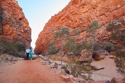 Best Of Alice Springs Full Day Tour - Palm Beach Accommodation 2
