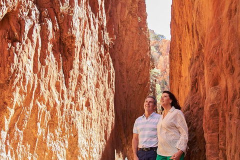 Best Of Alice Springs Full Day Tour - Palm Beach Accommodation 4