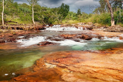 Full-Day Private Guided Tour To Litchfield National Park - Palm Beach Accommodation 14