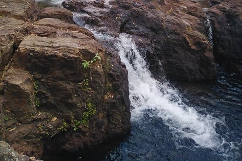 Full-Day Private Guided Tour To Litchfield National Park - Palm Beach Accommodation 8