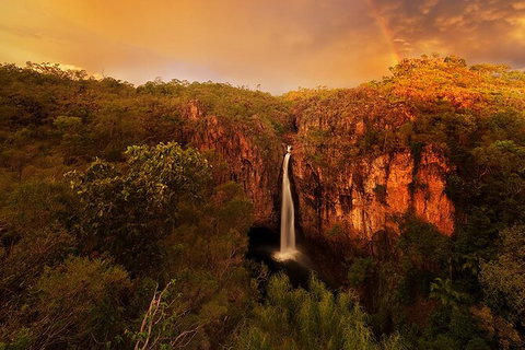 Full-Day Private Guided Tour To Litchfield National Park - Palm Beach Accommodation 20