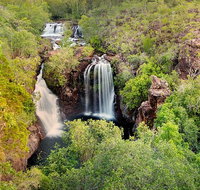 Full-Day Private Guided Tour to Litchfield National Park - Palm Beach Accommodation