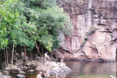 Full-Day Private Guided Tour To Litchfield National Park - Palm Beach Accommodation 16