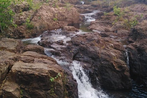 Full-Day Private Guided Tour To Litchfield National Park - Palm Beach Accommodation 15