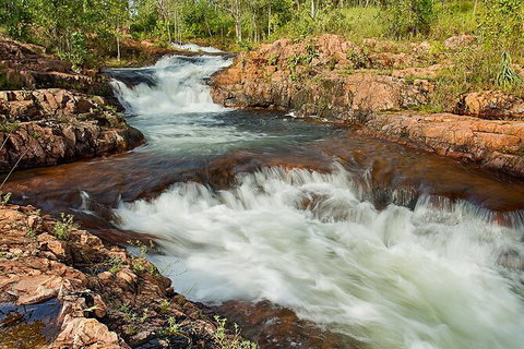 Full-Day Private Guided Tour To Litchfield National Park - Palm Beach Accommodation 3