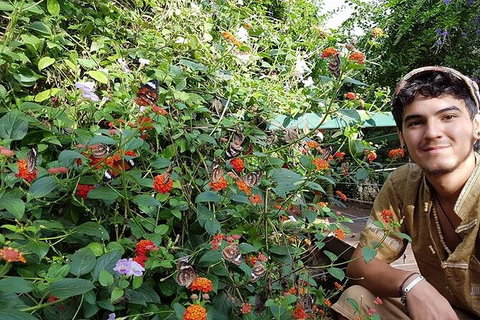 Full-Day Private Guided Tour To Litchfield National Park - Palm Beach Accommodation 17