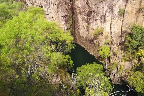 Full-Day Private Guided Tour To Litchfield National Park - Palm Beach Accommodation 19